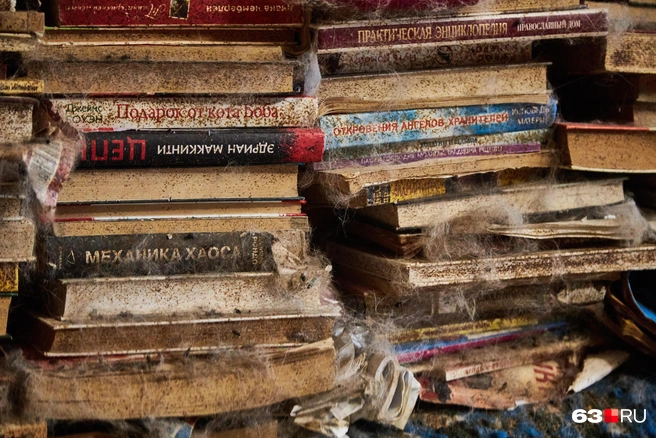 Кошачья шерсть и следы от насекомых тут повсюду | Источник: Роман Данилкин / 63.RU