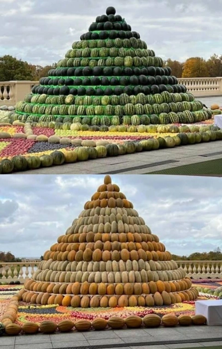 Подарок Путину развезли по детским домам Петербурга. Понадобилось шесть грузовиков | Источник: RIA_Kremlinpool