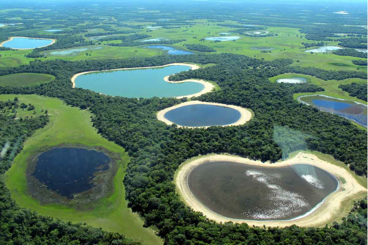 Хватит для всех куликов: 14 самых красивых болот со всего света