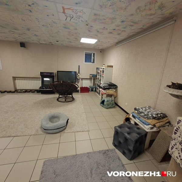 Источник: Алёна Воропаева / Voronezh1.ru