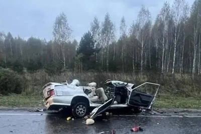 Два человека погибли в ДТП с грузовиком в Рязанской области