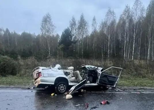 Два человека погибли в ДТП с грузовиком в Рязанской области