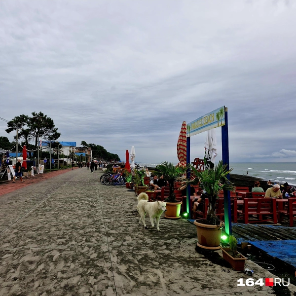 В Уреки очень спокойно и уютно | Источник: Виктория Федорова / 164.RU