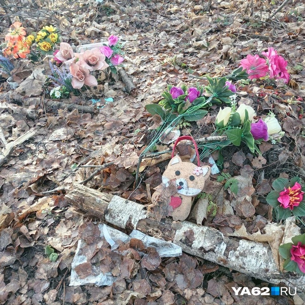 Источник: Анастасия Фокина / YA62.RU