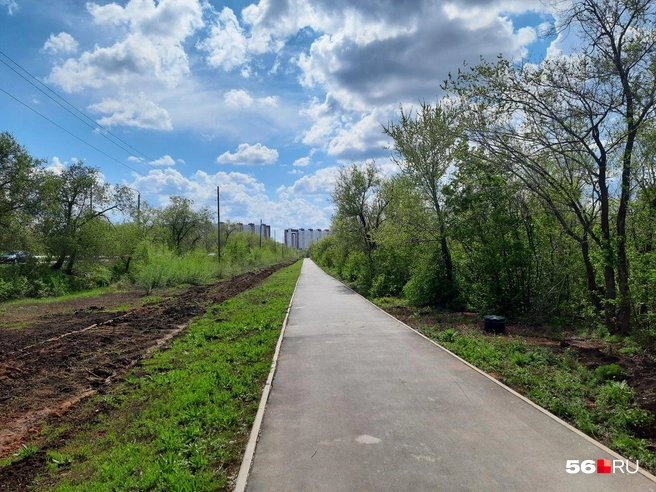 Тротуар парка со стороны проспекта Победы | Источник: Анастасия Баринова / 56.RU