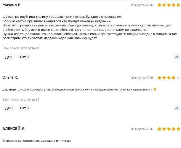 Под товарами набираются хорошие отзывы  | Источник: скриншот с маркетплейса