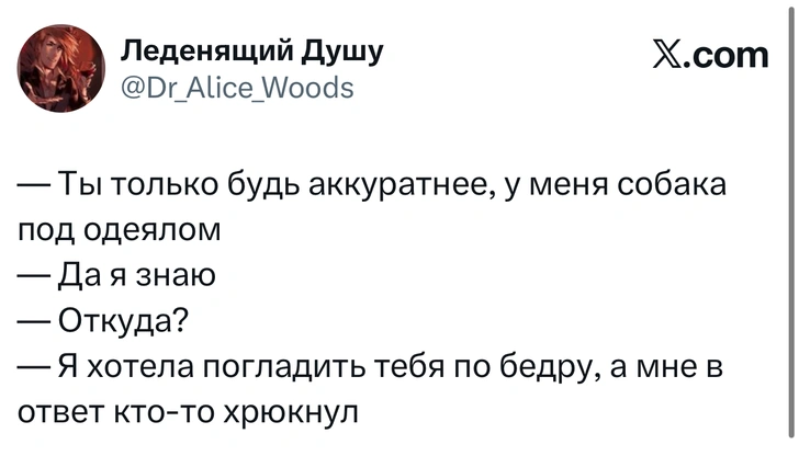 Источник: X (Twitter)