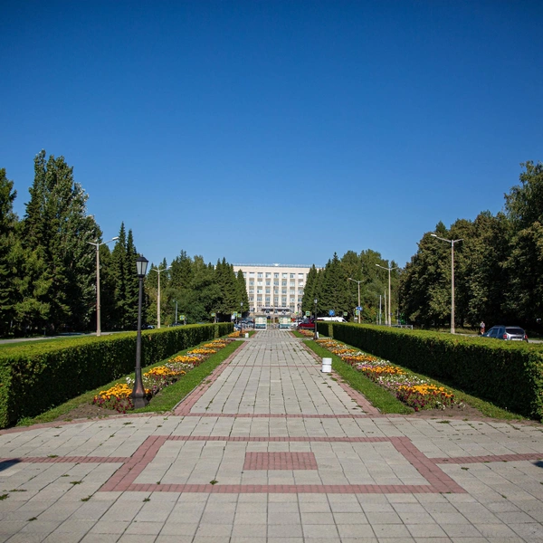 Академгородок&nbsp;— одно из любимых мест для прогулок | Источник: Александр Ощепков