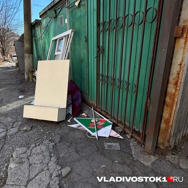 Источник: Елена Буйвол / VLADIVOSTOK1.RU