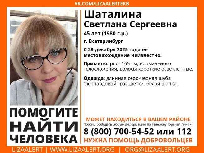 Источник: предоставлено отрядом «ЛизаАлерт»