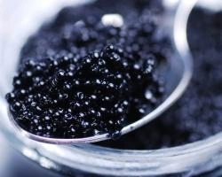 Полиция перекрыла канал поставки черной икры из Красноярского края | ngs24.ru