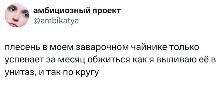 Источник: X (Twitter)