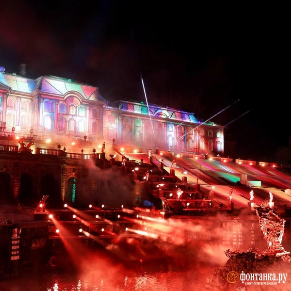 Источник: Дарья Драй / FONTANKA.RU