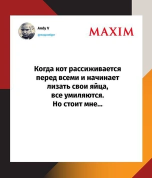Лучшие шутки недели и губительное очко