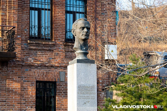 Источник: Елена Буйвол / VLADIVOSTOK1.RU