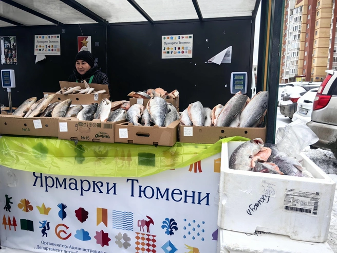 Обзор цен на рыбную продукцию на ярмарке | Источник: Павел Красоткин / 72.RU