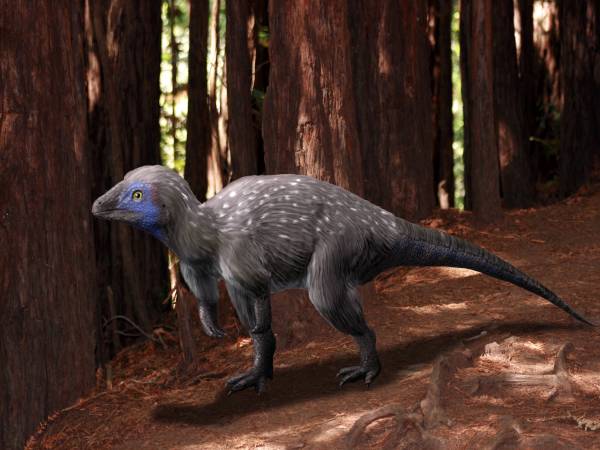 Динозавр из Помпеев юрского периода: история открытия и изучения ящера из Забайкалья