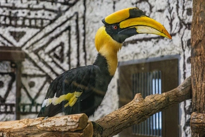 Пермский зоопарк опубликовал график работы на праздники