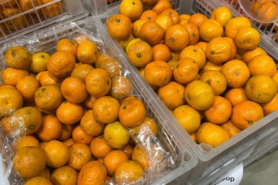 Мандарины в Мурманске: текущие цены к Новому году