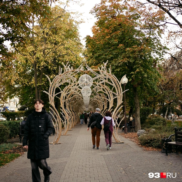 Источник: Дарья Паращенко / 93.RU