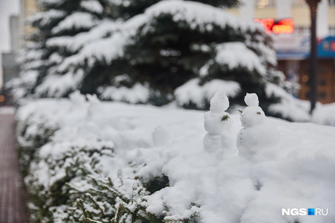 Жители сделали снеговиков, пока небольших | Источник: Александр Ощепков / NGS.RU