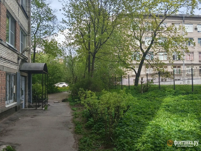 Вместо елочки. На Удельной построят «бумажный» детсад, пока в соседних закрываются группы | Источник: читатель «Фонтанки»