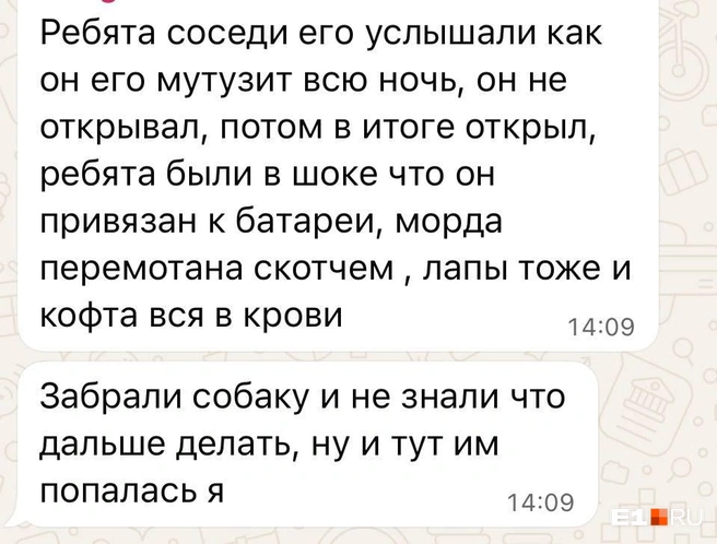 Источник: читатель E1.RU