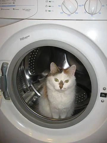 И снится нам трава, трава у дома! А не снег, дождь и гололед | Источник: читатель 63.RU