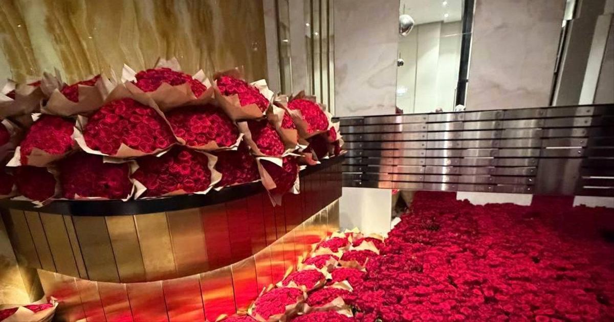 Девушка вернула 70&nbsp;млн роз отправителю&nbsp;&mdash; все дело в цвете!