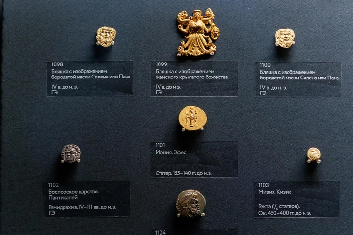 Экспонаты выставки «Боги, цари и варвары. Монеты Боспорского царства» | Источник: Музей Международного нумизматического клуба