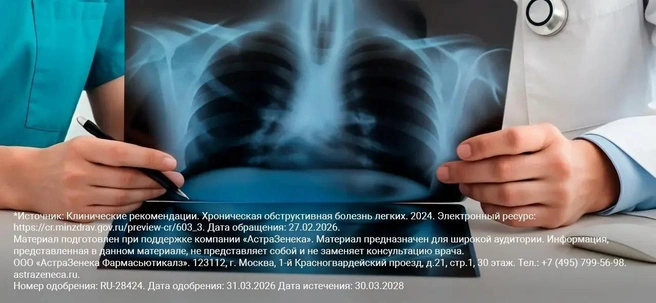 Источник: Ru.freepik.com