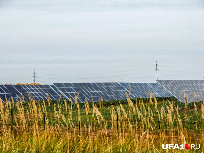 Солнечные электростанции появились в Агидели в 2022 году | Источник: Булат Салихов / UFA1.RU