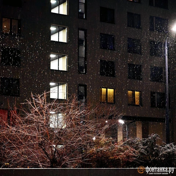 Источник: Анжела Мнацаканян / «Фонтака.ру»