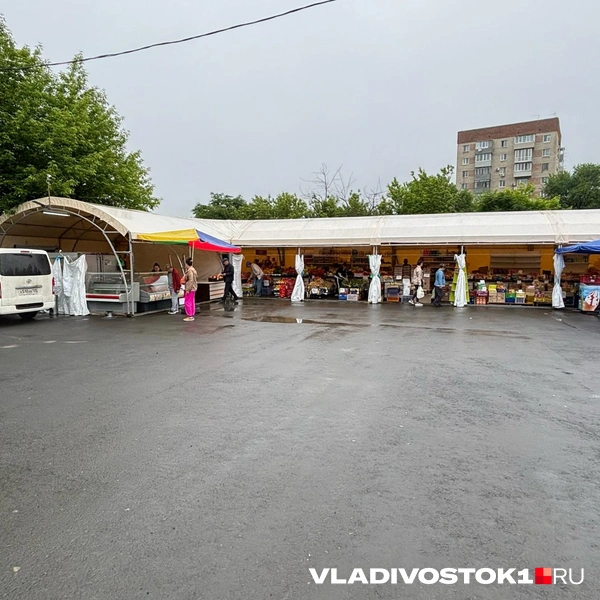 Источник: Елена Буйвол / VLADIVOSTOK1.RU