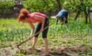 Как не сорвать спину на грядках: 11 медицинских советов дачникам