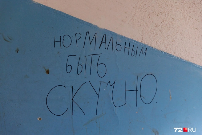 Источник: Ирина Шарова / 72.RU 