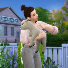Как установить моды на The Sims 4: пошаговая инструкция для игроков