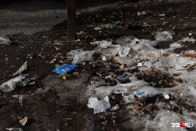 Не везде еще растаял снег, но лучше от этого не становится. Судя по всему, здесь кто-то щелкал семечки, а пустую пачку донести до мусорного бака не соизволил | Источник: Ирина Шарова / 72.RU
