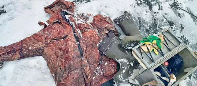 Скорее всего, мужчина провалился под лед | Источник: СУ СК России по Тюменской области