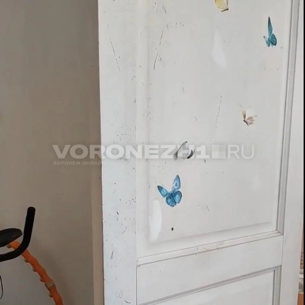 Источник: Татьяна Тельпис / Voronezh1.ru