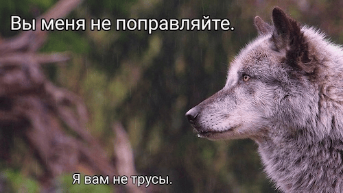 Изображение пользователя