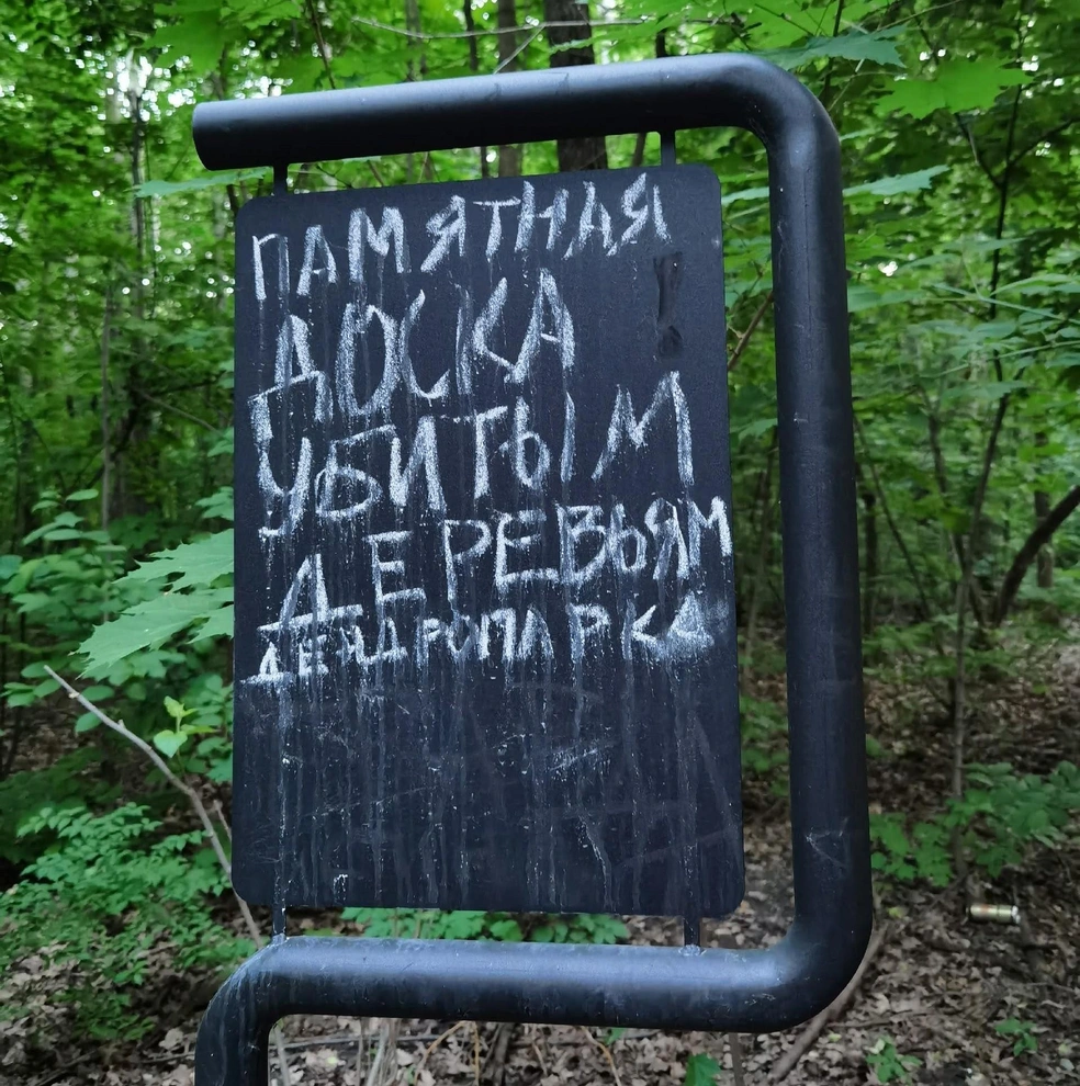Без проблем не обошлось | Источник: Камилла Е. / Vk.com