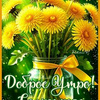 userpic__Новые Туфельки