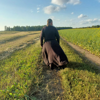 Аватарка Lik