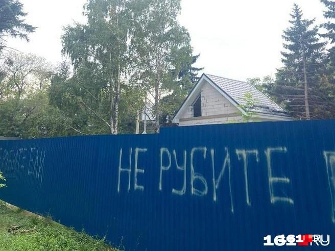 На момент подачи искового заявления на участке от спила деревьев образовалась обширная поляна, более 70% деревьев были уничтожены | Источник: предоставлено Марией Польдяевой
