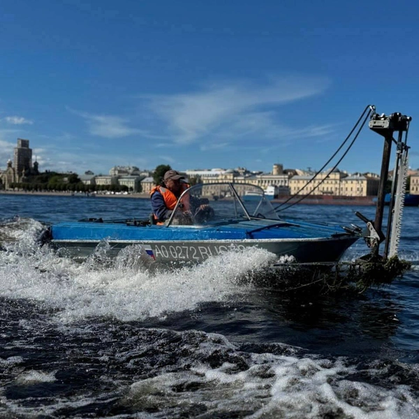Источник: Официальный телеграм-канал Комитета по природопользованию