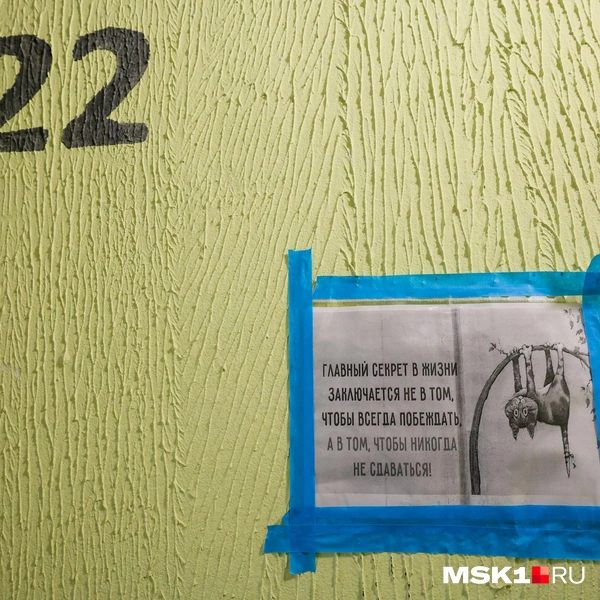 Когда проходишь мимо них, поднимаясь на 23-й этаж без лифта, на улице на минутку проскальзывает улыбка | Источник: Артем Устюжанин / MSK1.RU