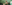 bts