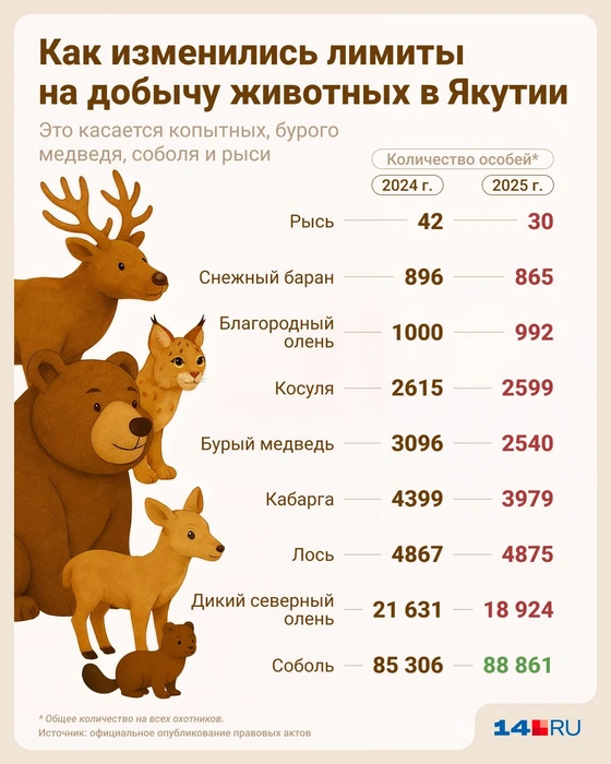 Рысь можно добывать меньше всего | Источник: Юрий Скулыбердин / 14.RU