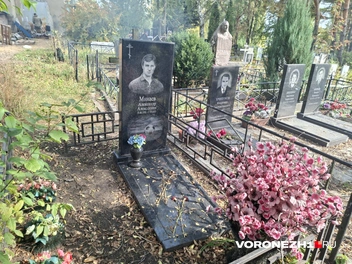 Источник: Алёна Воропаева / Voronezh1.ru